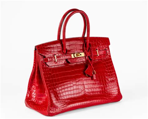 hermes braise crocodile|Hermes crocodile bag cost.